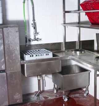 foodborne diseases
