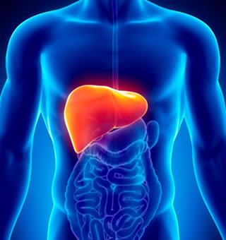 hepatitis