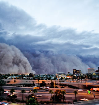 Valley fever