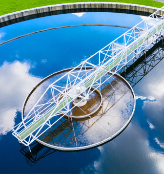Waterborne diseases